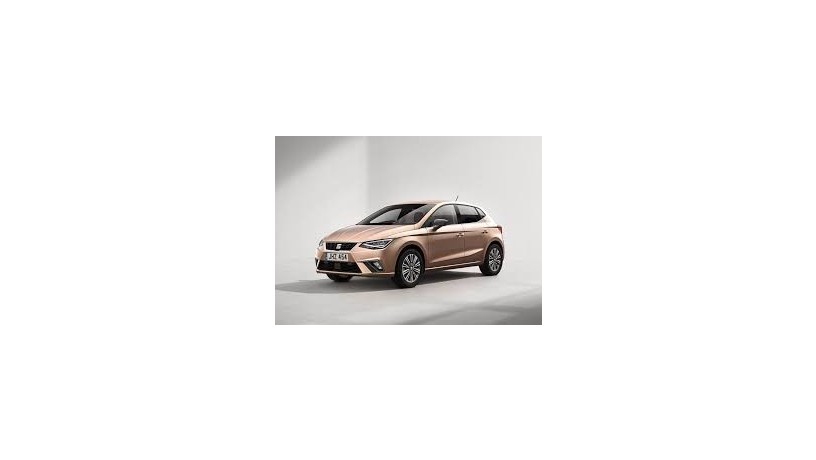 seat-ibiza-big-0