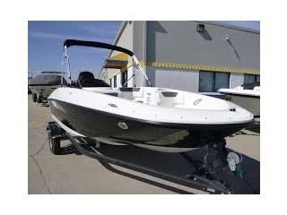 Bayliner Element E16
