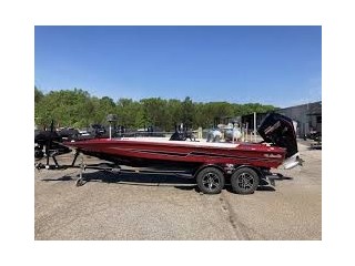 Bass Cat Pantera Classic