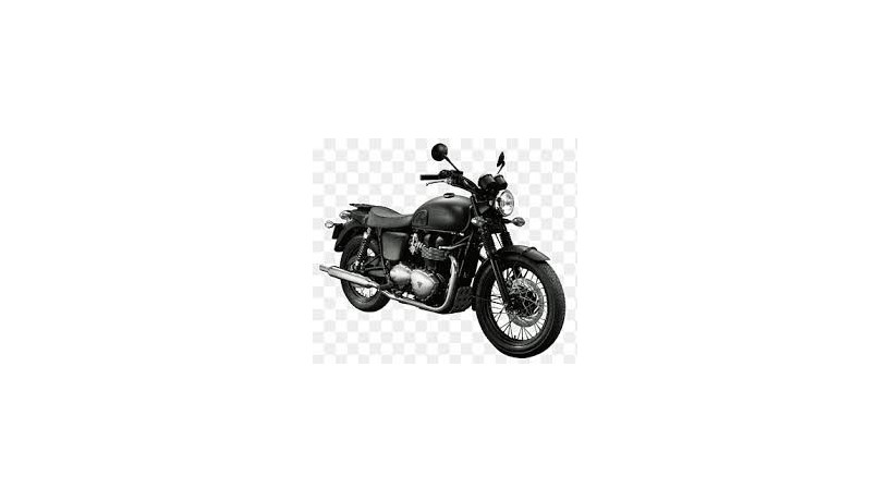 triumph-bonneville-t100-big-0