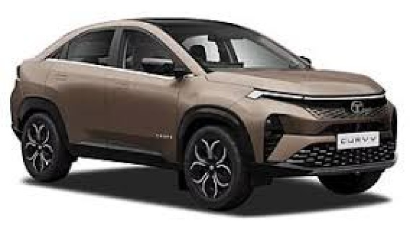 maruthi-suzuki-big-0